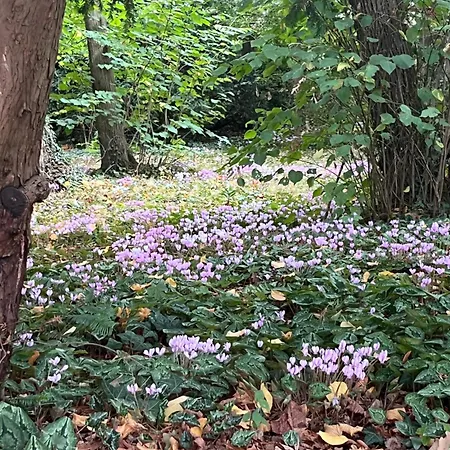 Отель Centre De La Solitude Du Sauveur
